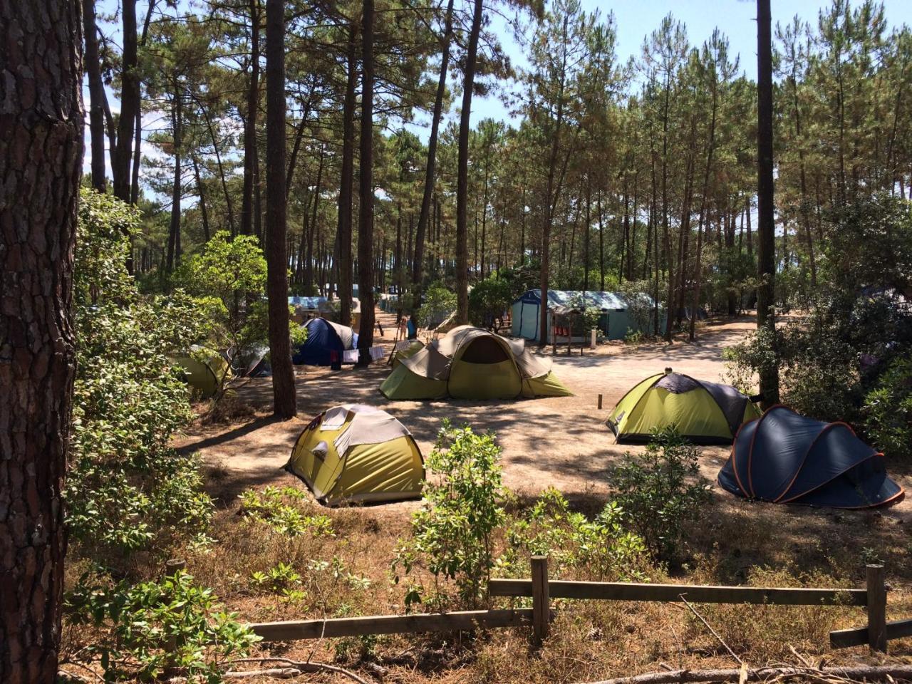 קרקן Wellness Sport Camping - La Dune Bleue מראה חיצוני תמונה