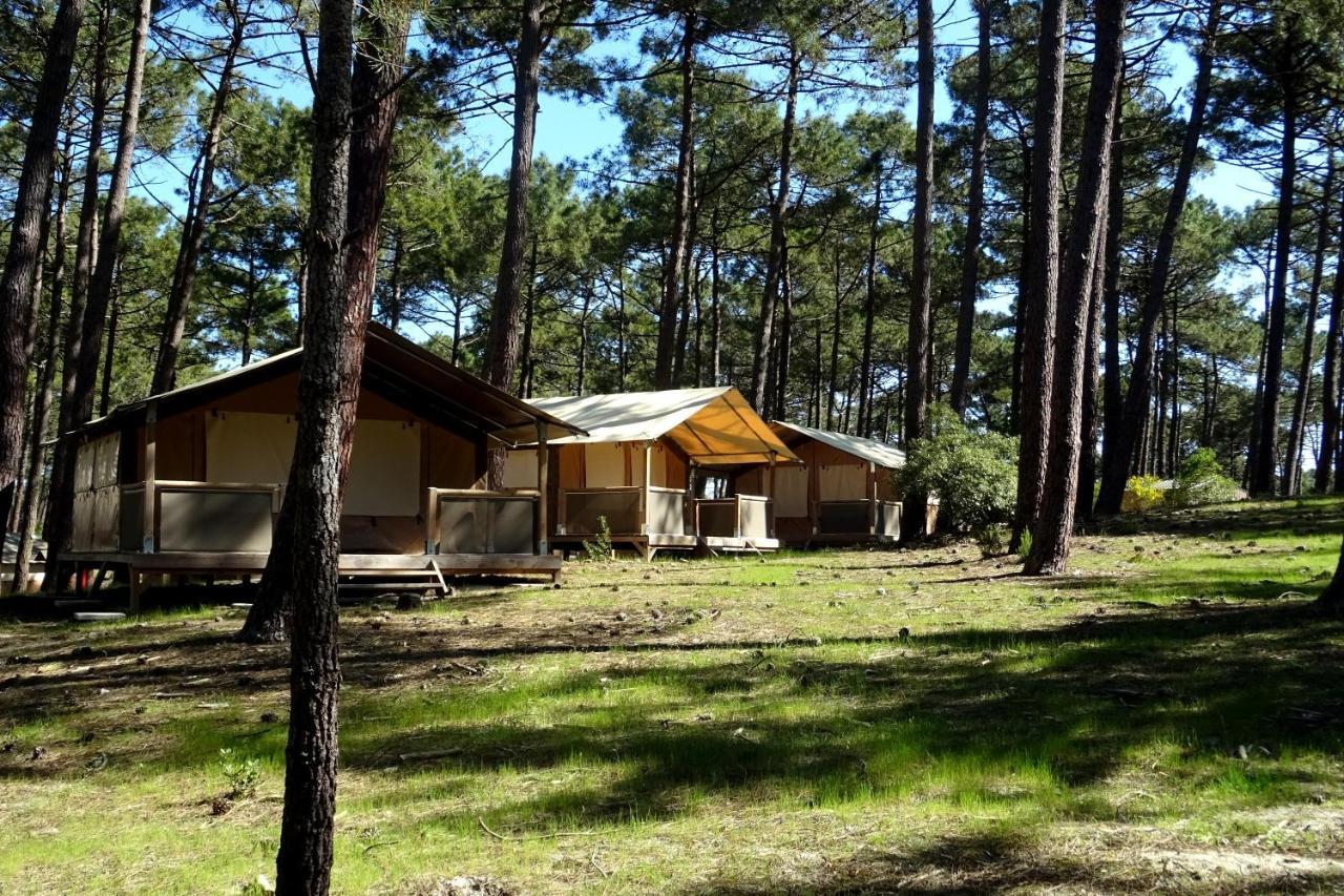 קרקן Wellness Sport Camping - La Dune Bleue מראה חיצוני תמונה